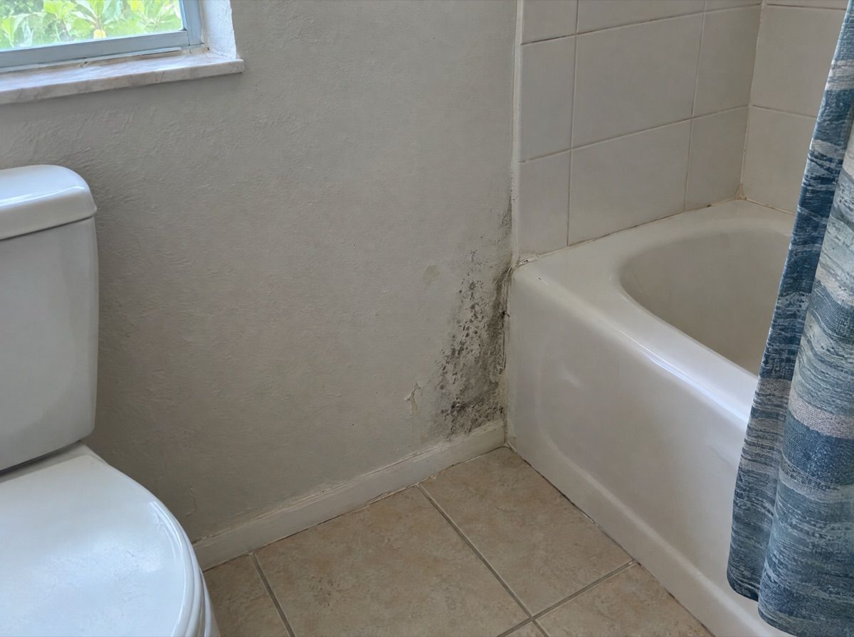 Dark patch of spotting low on a bathroom wall near the tub.