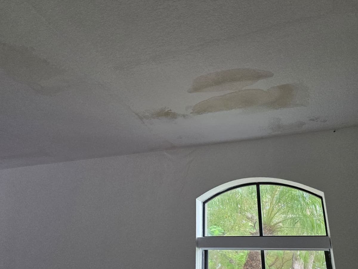 Brown stains on a ceiling above an arched window.