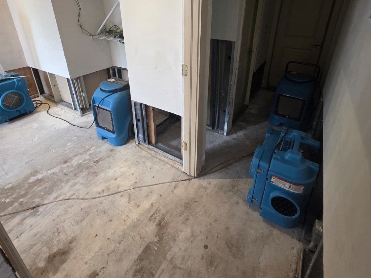Blue air movers and a dehumidifier set up beside opened wall sections.