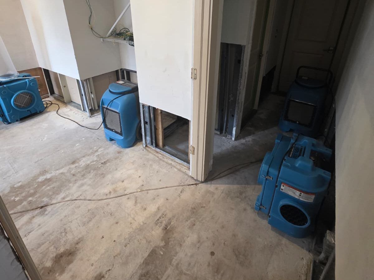 Three blue drying machines set up in a hallway and room with the lower drywall removed.