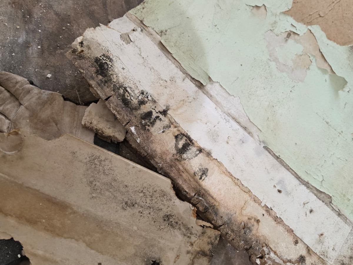 Pieces of removed drywall and baseboard with dark spotting.