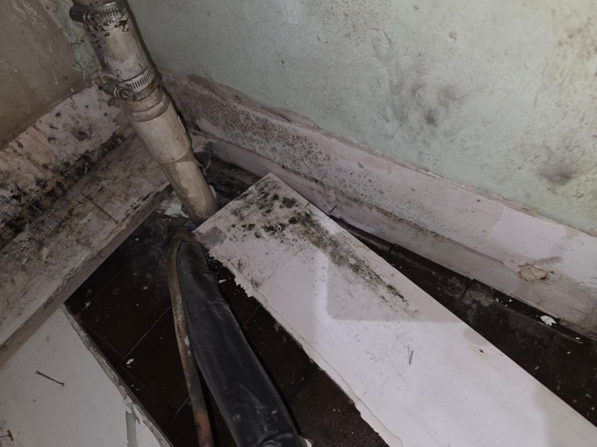 Dark discoloration on removed baseboards lying next to a drain pipe.