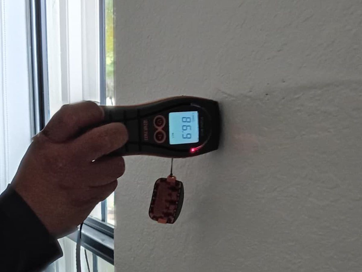 Hand holding a moisture meter against a wall beside a window.