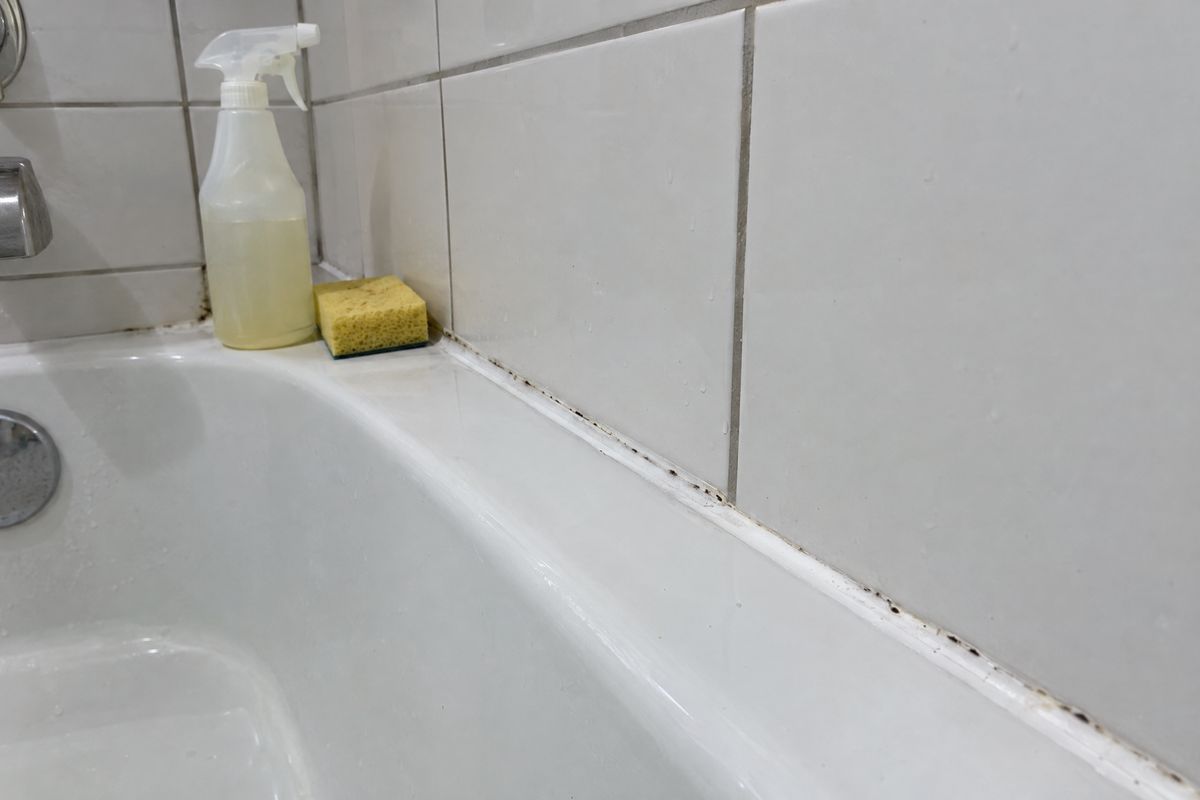 Small dark spots in the caulk along a bathtub edge, next to a spray bottle and a sponge.