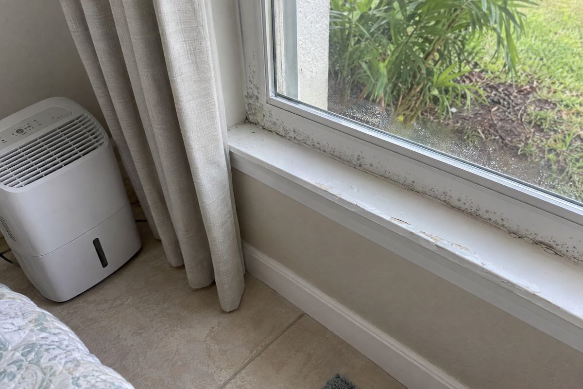 Light spotting and peeling paint along a window frame and sill, with a dehumidifier on the floor.